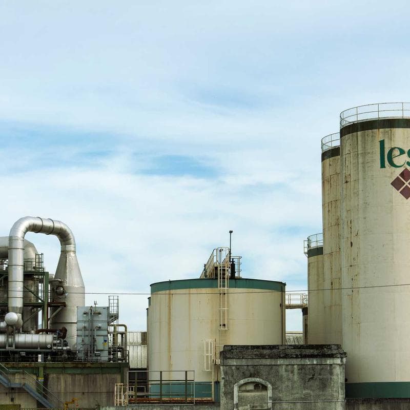 Human and AI collaboration